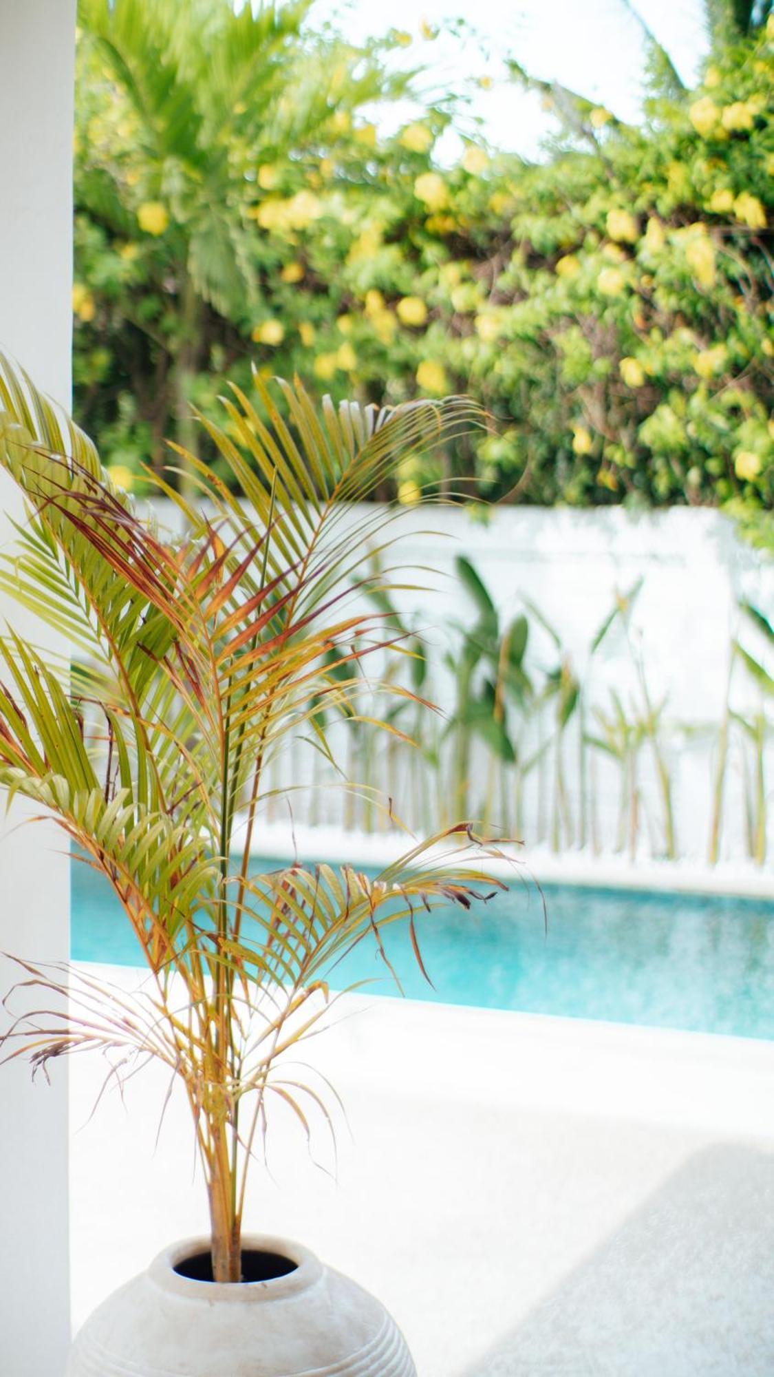 Homestay The White Bay Lombok Kuta (Lombok)